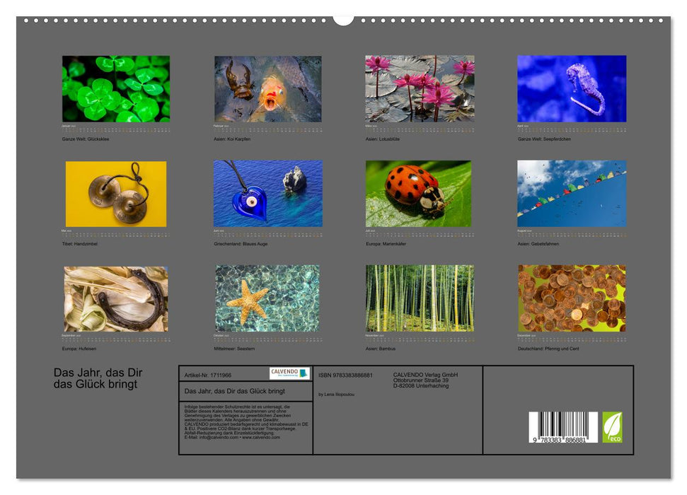 Das Jahr, das Dir das Glück bringt (CALVENDO Premium Wandkalender 2025)
