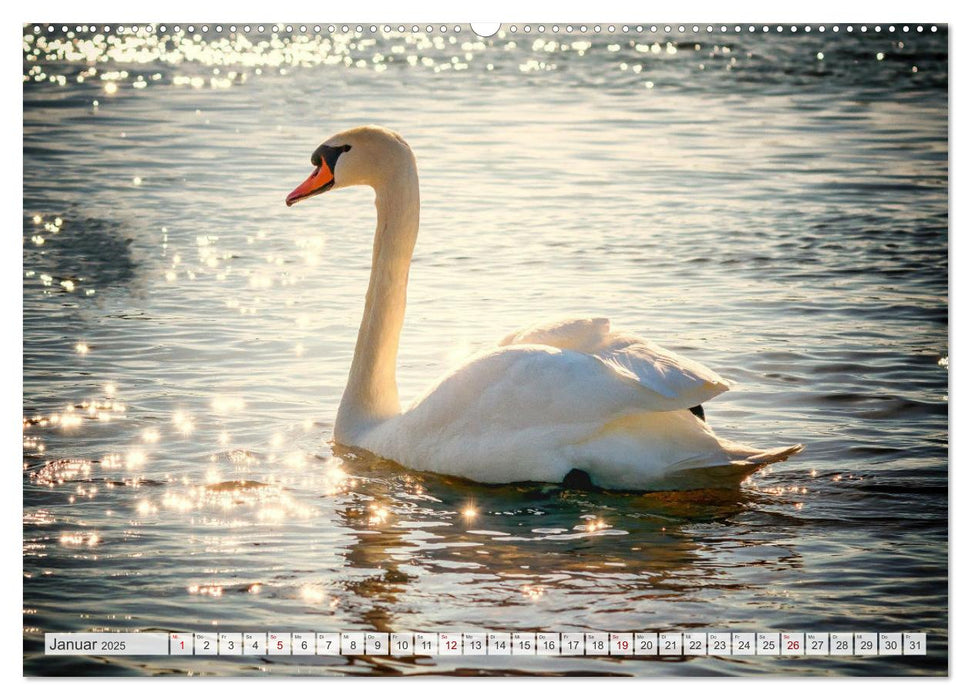 Masuren - Polens Seen-Paradies (CALVENDO Premium Wandkalender 2025)