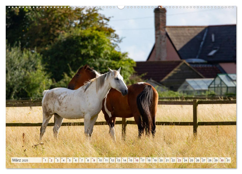 Masuren - Polens Seen-Paradies (CALVENDO Premium Wandkalender 2025)