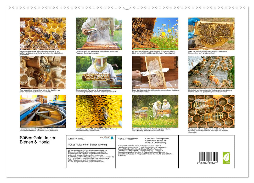 Süßes Gold: Imker, Bienen & Honig (CALVENDO Premium Wandkalender 2025)