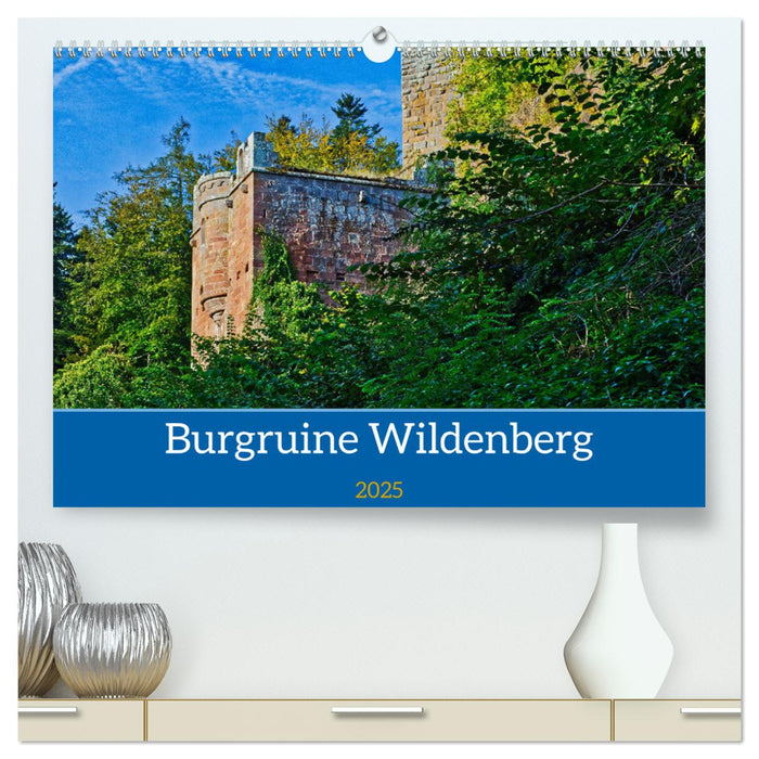 Burg Wildenberg (CALVENDO Premium Wandkalender 2025)