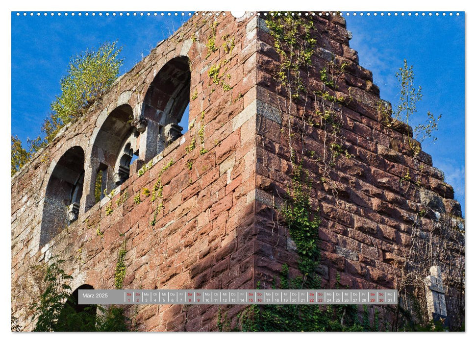 Burg Wildenberg (CALVENDO Premium Wandkalender 2025)