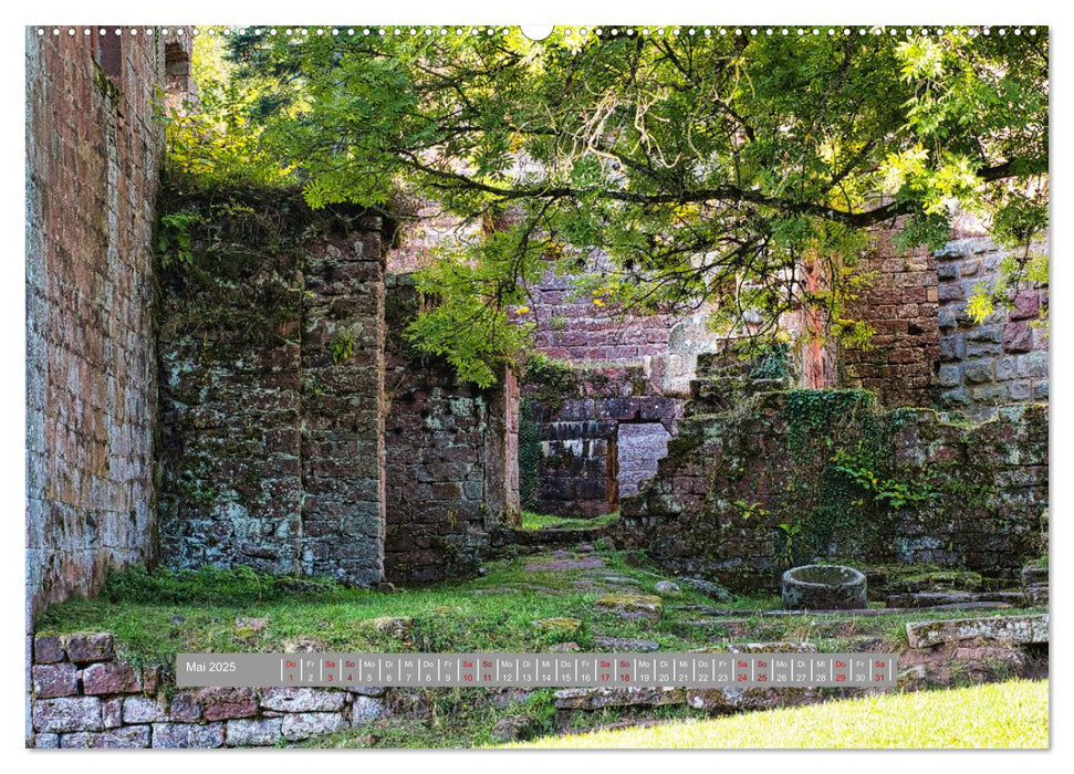 Burg Wildenberg (CALVENDO Premium Wandkalender 2025)