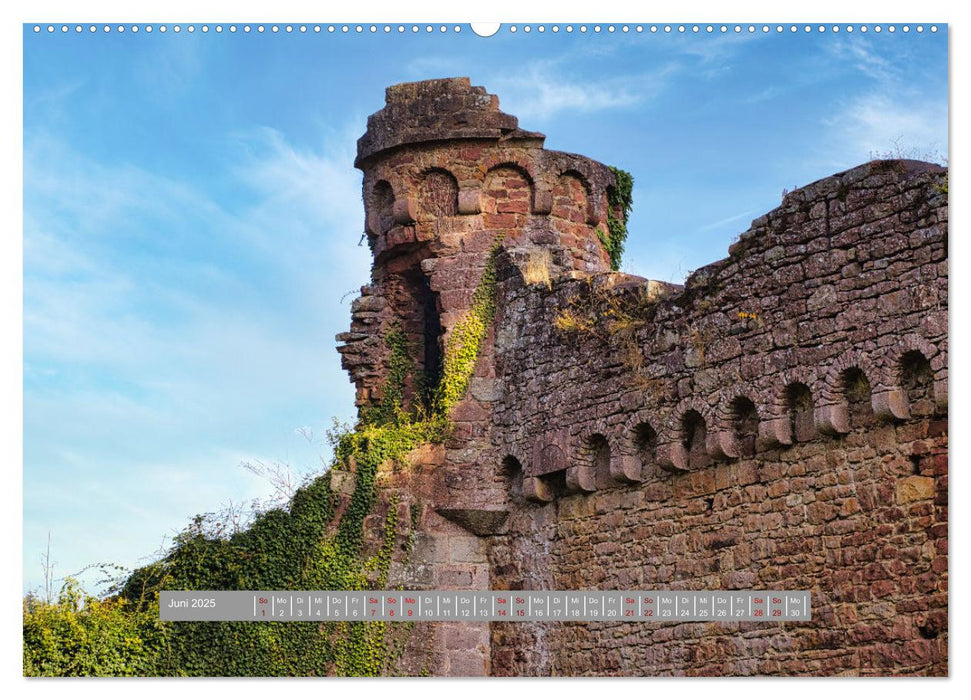 Burg Wildenberg (CALVENDO Premium Wandkalender 2025)