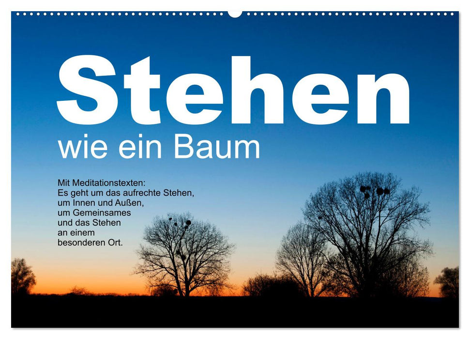 Stehen wie ein Baum (CALVENDO Wandkalender 2025)