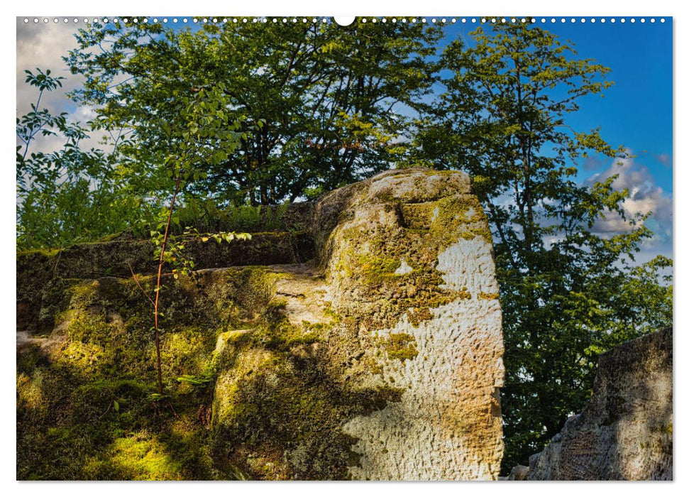 Felsenburg Rotenhan (CALVENDO Premium Wandkalender 2025)