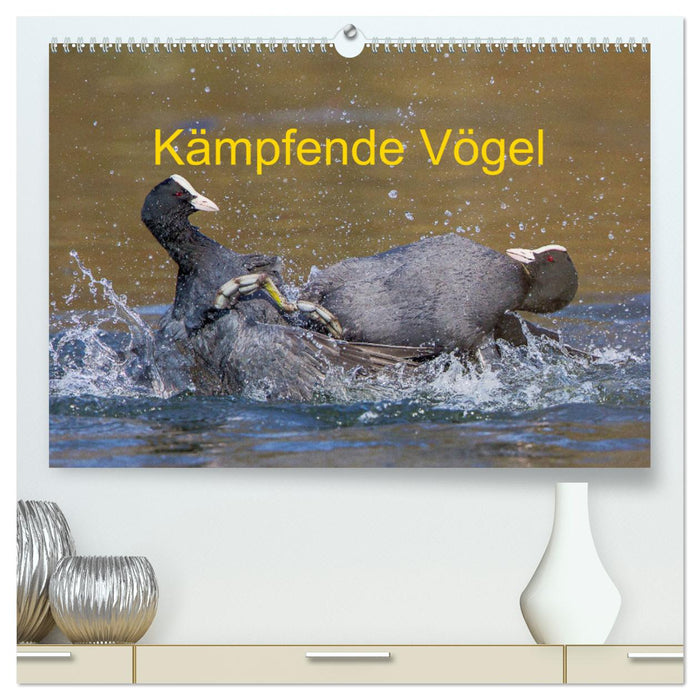 Kämpfende Vögel (CALVENDO Premium Wandkalender 2025)