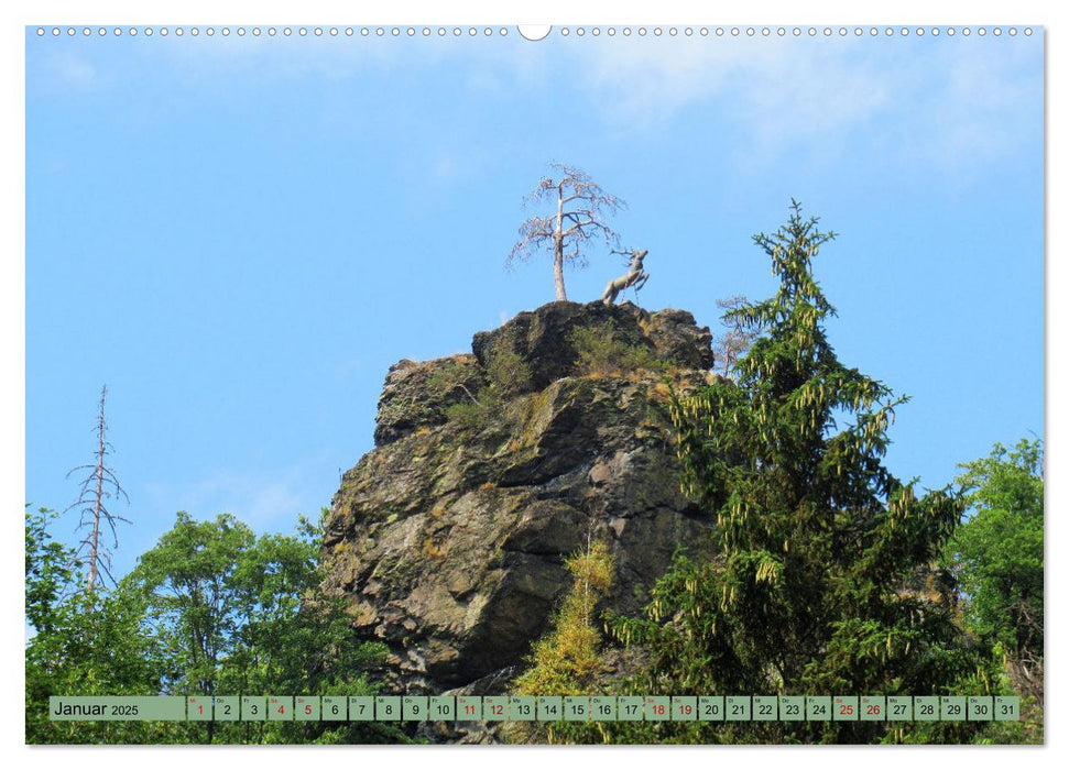 Frankenwald - Wandern in Oberfranken und Thüringen (CALVENDO Premium Wandkalender 2025)