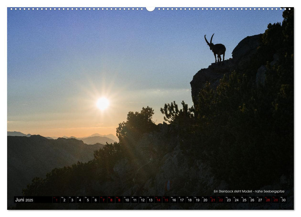 Magisches Licht der Berge (CALVENDO Premium Wandkalender 2025)