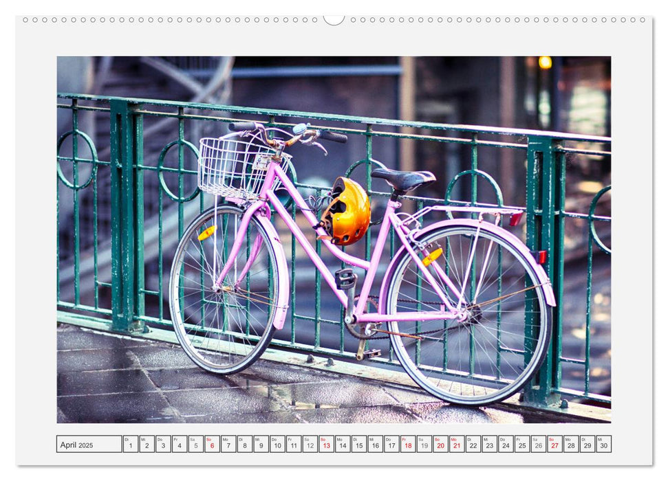 Faszination Fahrrad. Der Charme alter und neuer Drahtesel (CALVENDO Premium Wandkalender 2025)