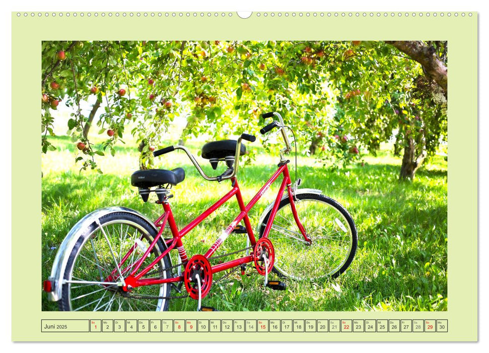 Faszination Fahrrad. Der Charme alter und neuer Drahtesel (CALVENDO Premium Wandkalender 2025)