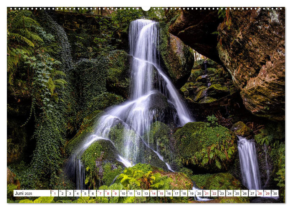 Mystischer Malerweg (CALVENDO Premium Wandkalender 2025)