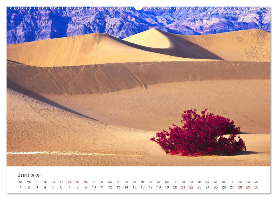 Death Valley - Der trockenste Nationalpark den USA. (CALVENDO Premium Wandkalender 2025)