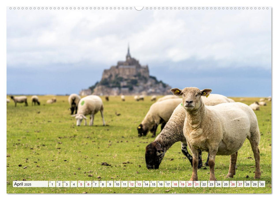 Welterbe Mont-Saint-Michel (CALVENDO Premium Wandkalender 2025)