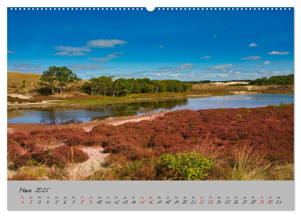 Streifzug durch Nordholland (CALVENDO Premium Wandkalender 2025)