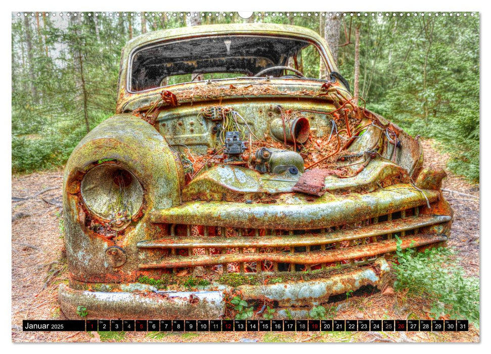 Autofriedhof Ryd (CALVENDO Premium Wandkalender 2025)