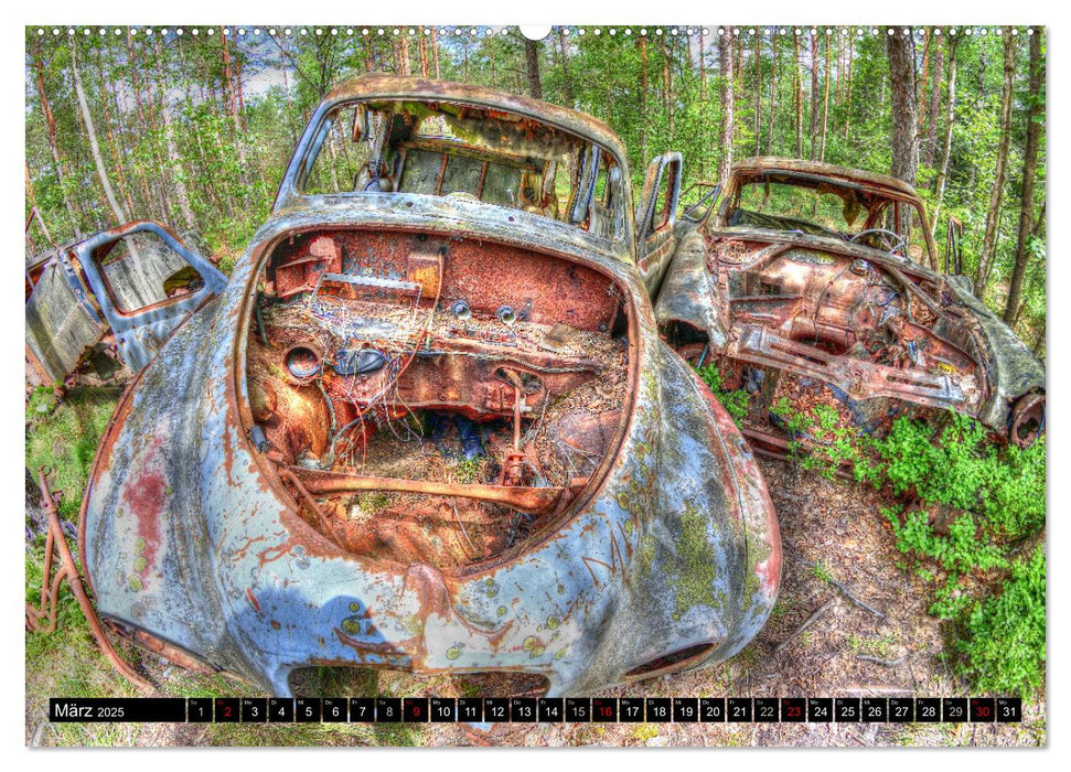 Autofriedhof Ryd (CALVENDO Premium Wandkalender 2025)