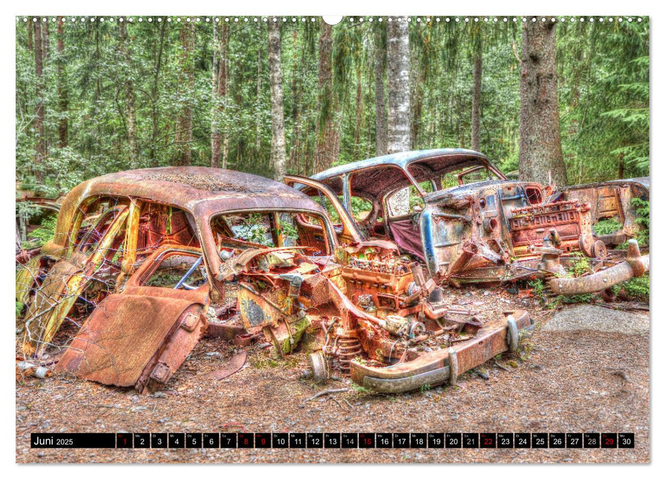 Autofriedhof Ryd (CALVENDO Premium Wandkalender 2025)