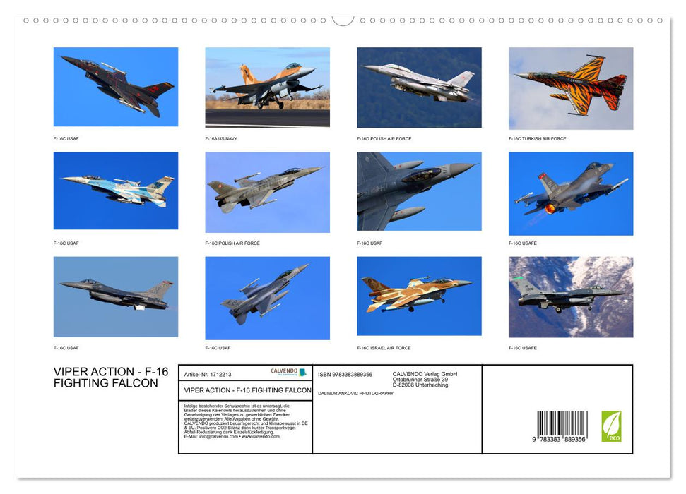 VIPER ACTION - F-16 FIGHTING FALCON (CALVENDO Premium Wandkalender 2025)