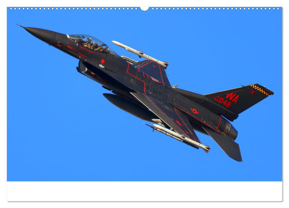 VIPER ACTION - F-16 FIGHTING FALCON (CALVENDO Premium Wandkalender 2025)