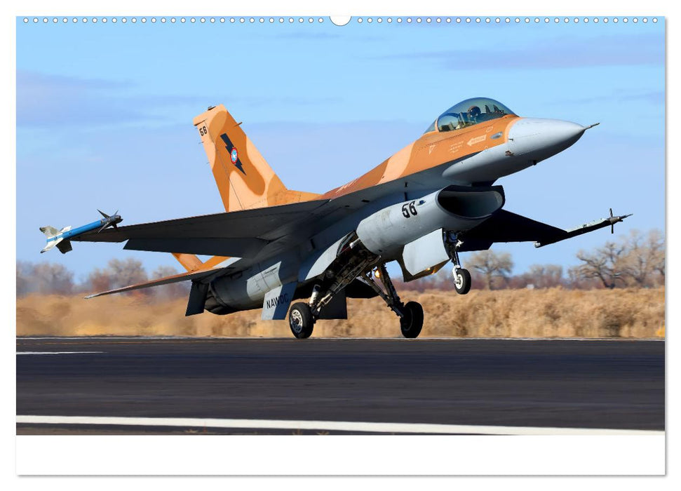 VIPER ACTION - F-16 FIGHTING FALCON (CALVENDO Premium Wandkalender 2025)