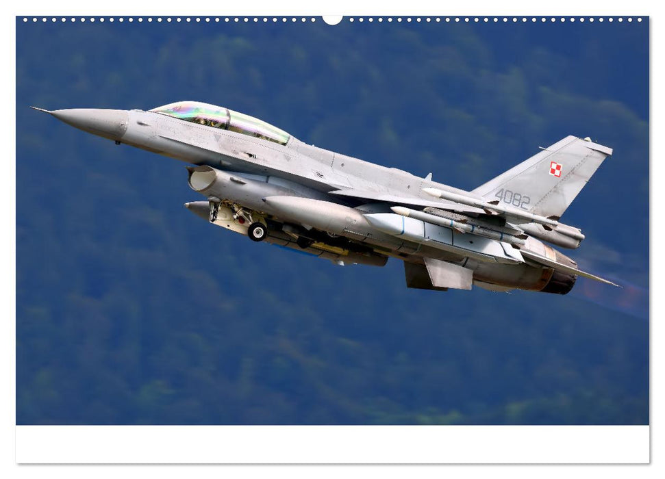 VIPER ACTION - F-16 FIGHTING FALCON (CALVENDO Premium Wandkalender 2025)