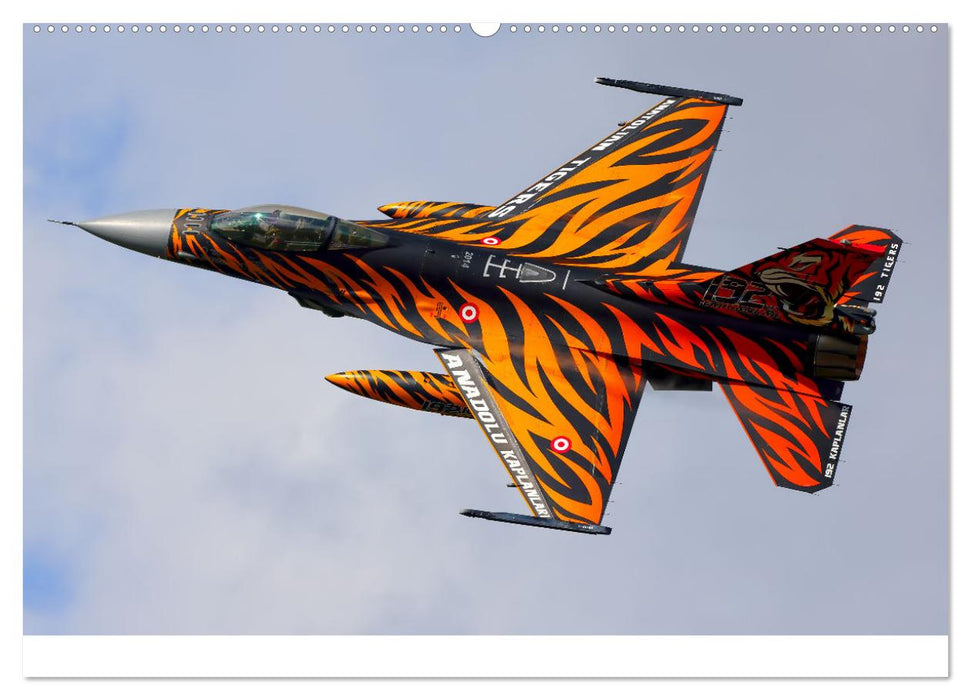 VIPER ACTION - F-16 FIGHTING FALCON (CALVENDO Premium Wandkalender 2025)