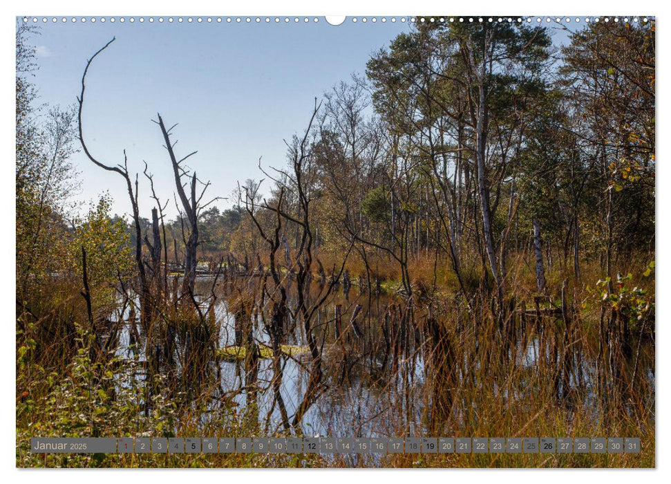 Hohes Moor Oldendorf (CALVENDO Premium Wandkalender 2025)