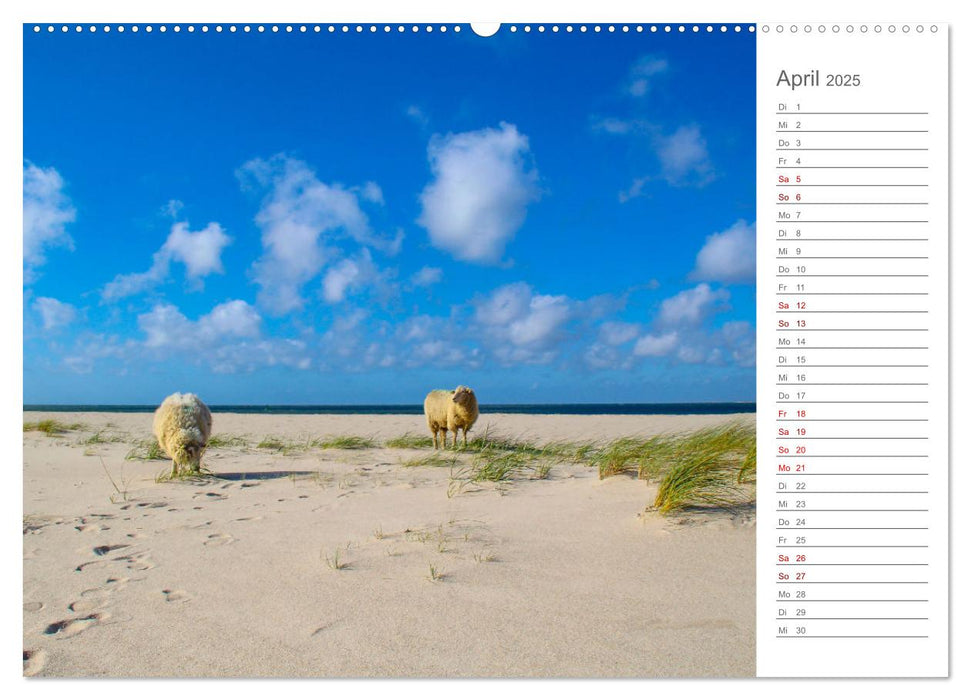 Nodseeinsel Sylt - Impressionen der beliebtesten Insel Deutschlands (CALVENDO Wandkalender 2025)