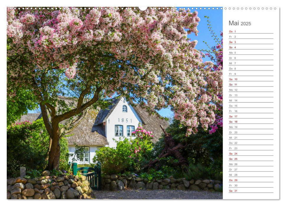 Nodseeinsel Sylt - Impressionen der beliebtesten Insel Deutschlands (CALVENDO Wandkalender 2025)