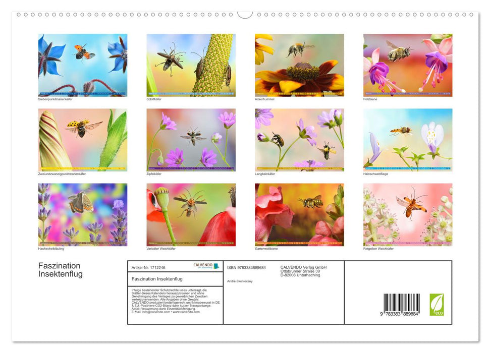 Faszination Insektenflug (CALVENDO Premium Wandkalender 2025)