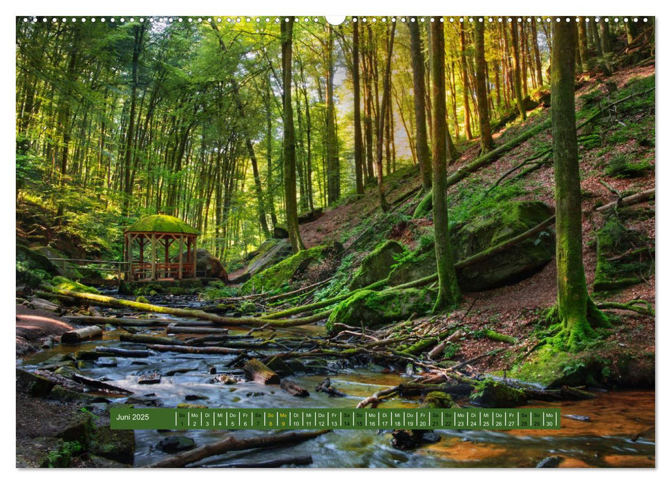 Magischer Pfälzer Wald (CALVENDO Premium Wandkalender 2025)