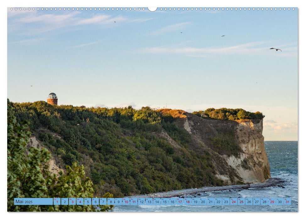 Sehnsucht Rügen (CALVENDO Premium Wandkalender 2025)