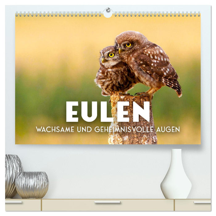 Eulen - Wachsame und geheimnisvolle Augen (CALVENDO Premium Wandkalender 2025)