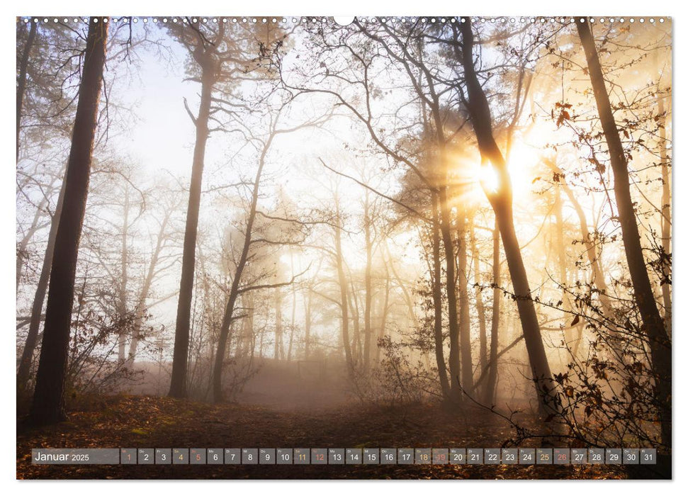 Naturparadies Pfälzerwald (CALVENDO Premium Wandkalender 2025)