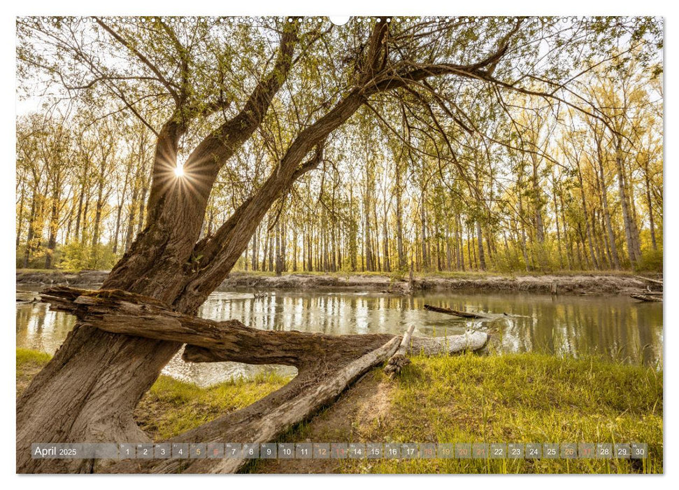 Naturparadies Pfälzerwald (CALVENDO Premium Wandkalender 2025)