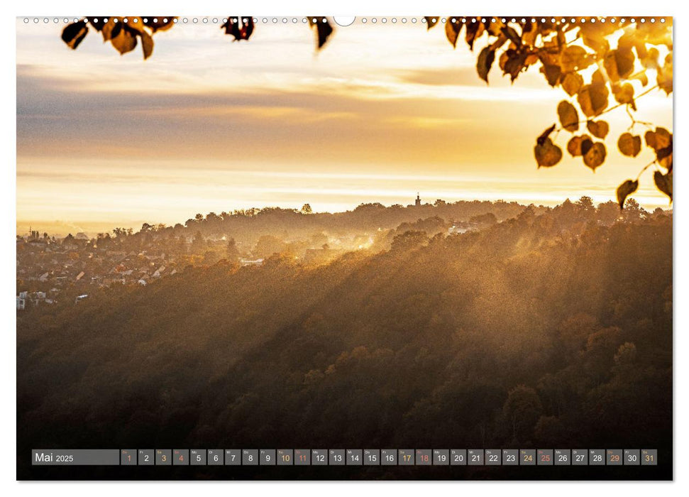 Naturparadies Pfälzerwald (CALVENDO Premium Wandkalender 2025)