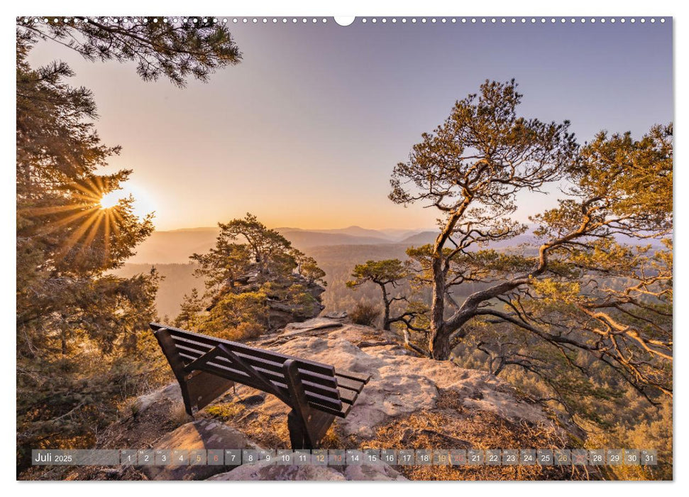 Naturparadies Pfälzerwald (CALVENDO Premium Wandkalender 2025)