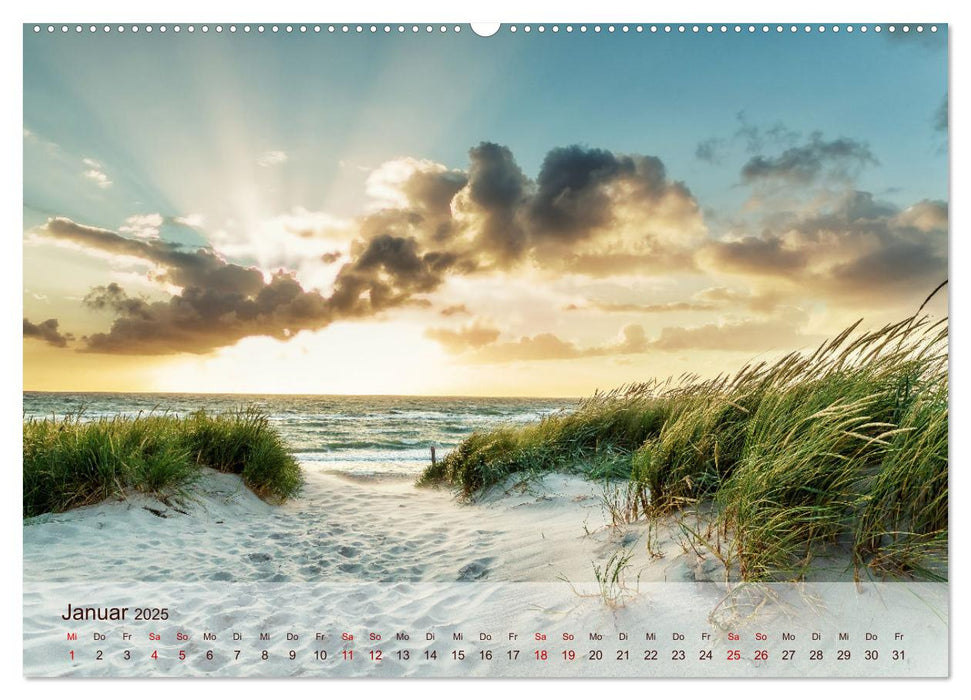 Moin Moin Schöne Stunden am Ostseestrand (CALVENDO Premium Wandkalender 2025)