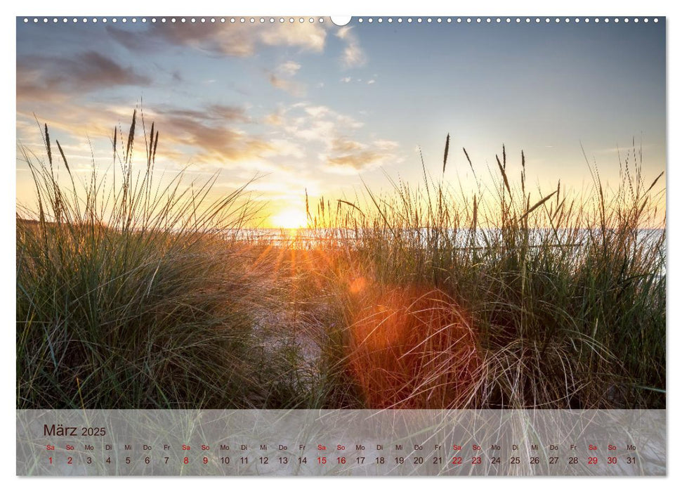 Moin Moin Schöne Stunden am Ostseestrand (CALVENDO Premium Wandkalender 2025)