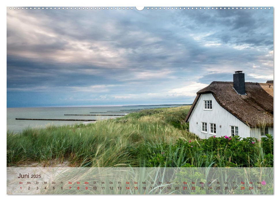 Moin Moin Schöne Stunden am Ostseestrand (CALVENDO Premium Wandkalender 2025)