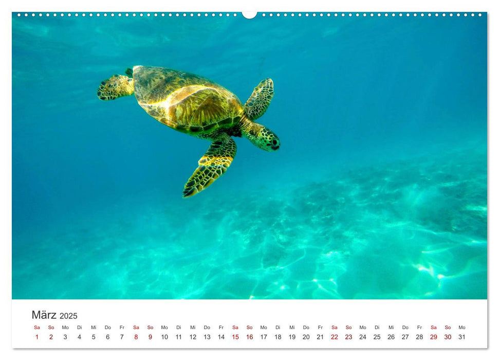 Hawaii - Ein tropisches Paradies. (CALVENDO Premium Wandkalender 2025)