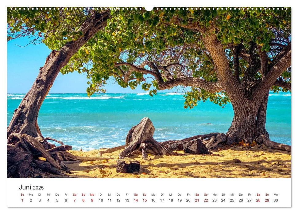 Hawaii - Ein tropisches Paradies. (CALVENDO Premium Wandkalender 2025)