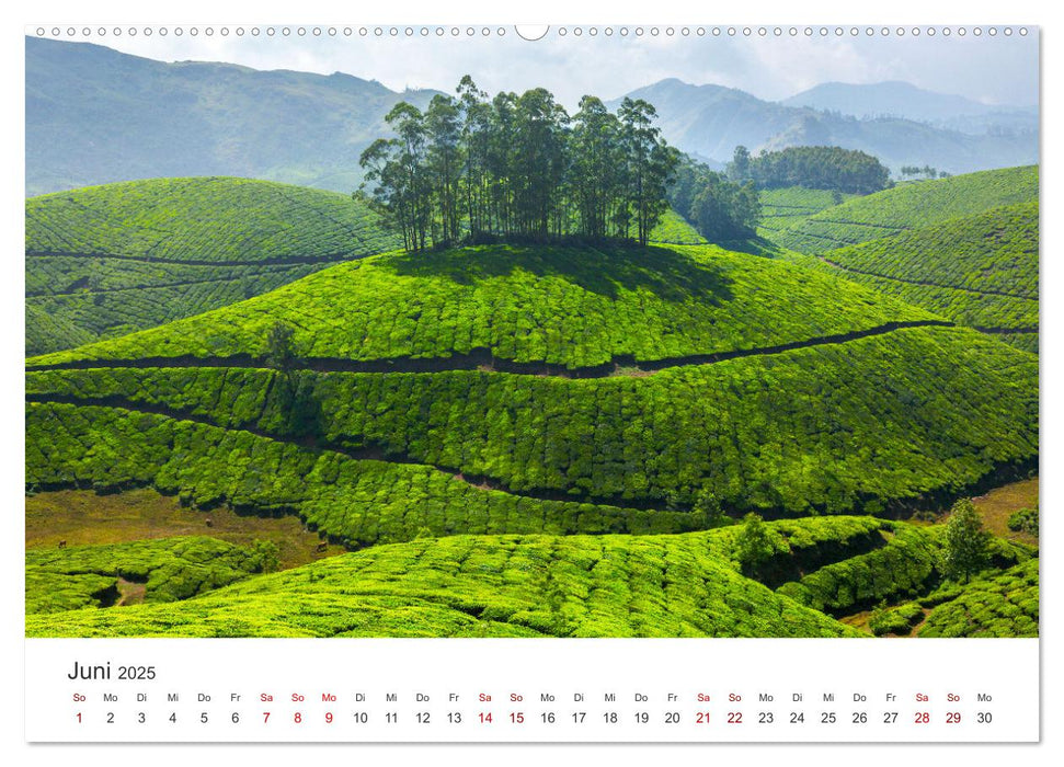 It's Tea Time (CALVENDO Premium Wandkalender 2025)