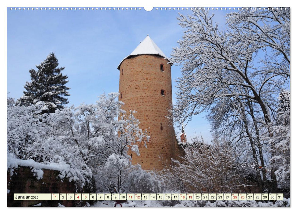 Unterwegs in Weinheim mit Ilona Andersen (CALVENDO Wandkalender 2025)