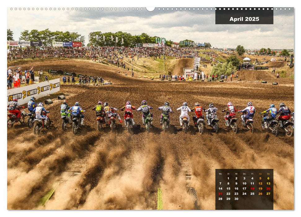 The gate drops - get ready for the race and do your your best (CALVENDO Premium Wandkalender 2025)