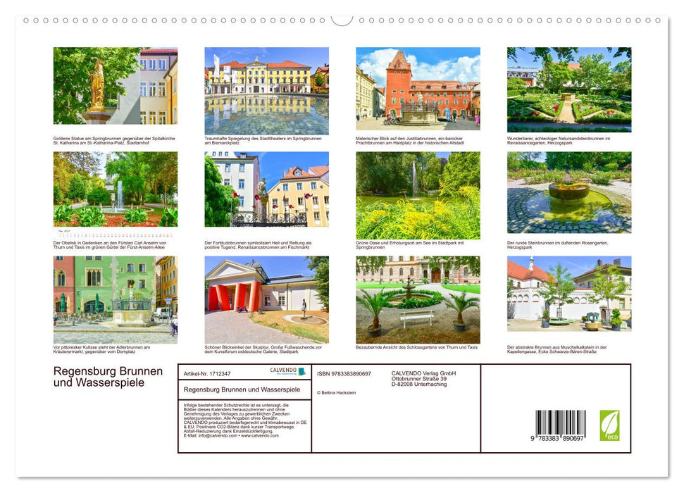 Regensburg Brunnen und Wasserspiele (CALVENDO Premium Wandkalender 2025)