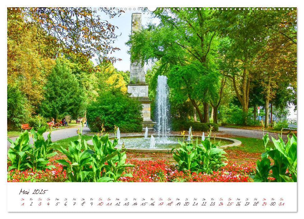 Regensburg Brunnen und Wasserspiele (CALVENDO Premium Wandkalender 2025)