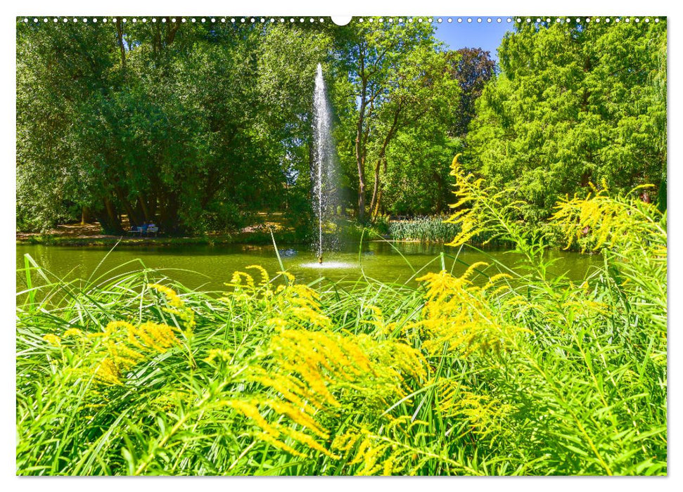 Regensburg Brunnen und Wasserspiele (CALVENDO Premium Wandkalender 2025)