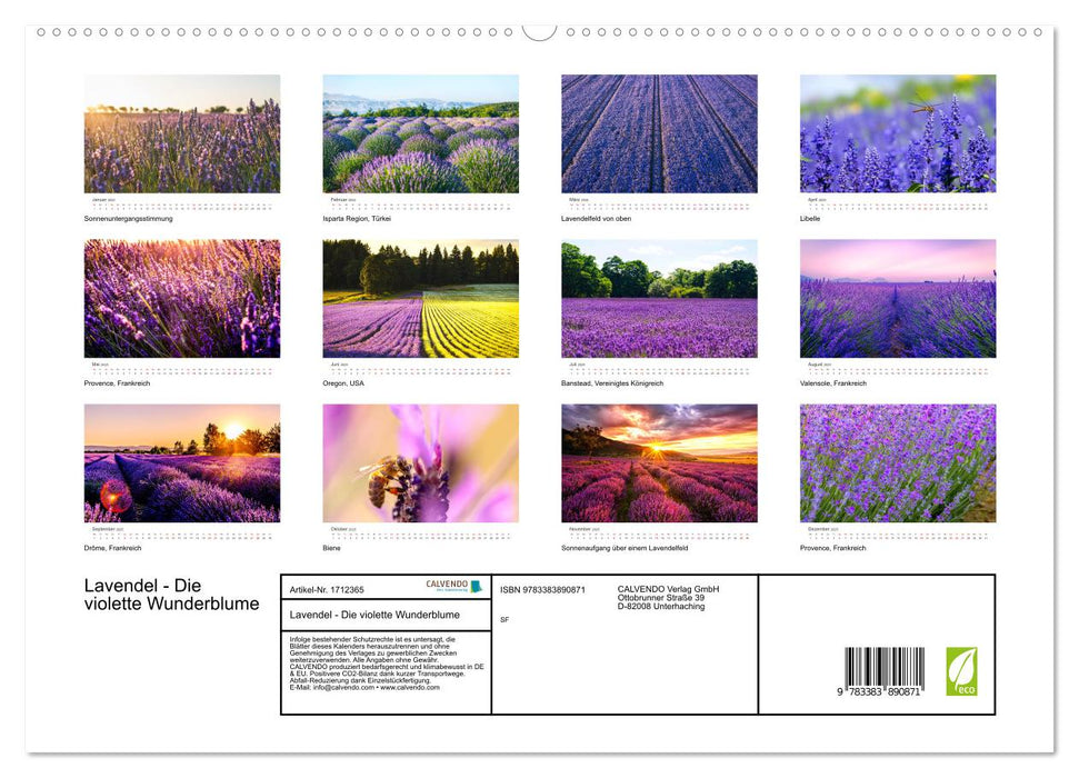 Lavendel - Die violette Wunderblume (CALVENDO Premium Wandkalender 2025)